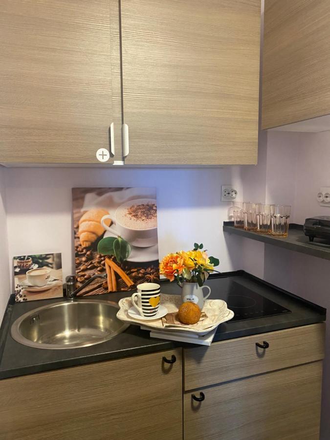 Victoriei Deluxe Suites ブカレスト エクステリア 写真