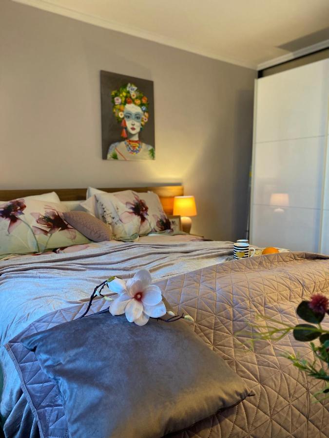 Victoriei Deluxe Suites ブカレスト エクステリア 写真